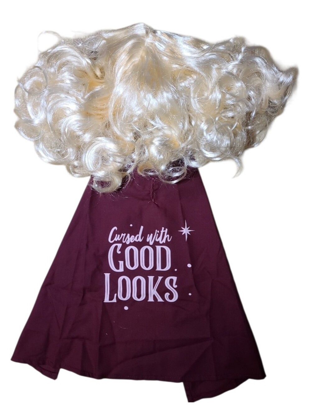 Disney Hocus Pocus Sarah Sanderson Pet Halloween Costume Small NEW